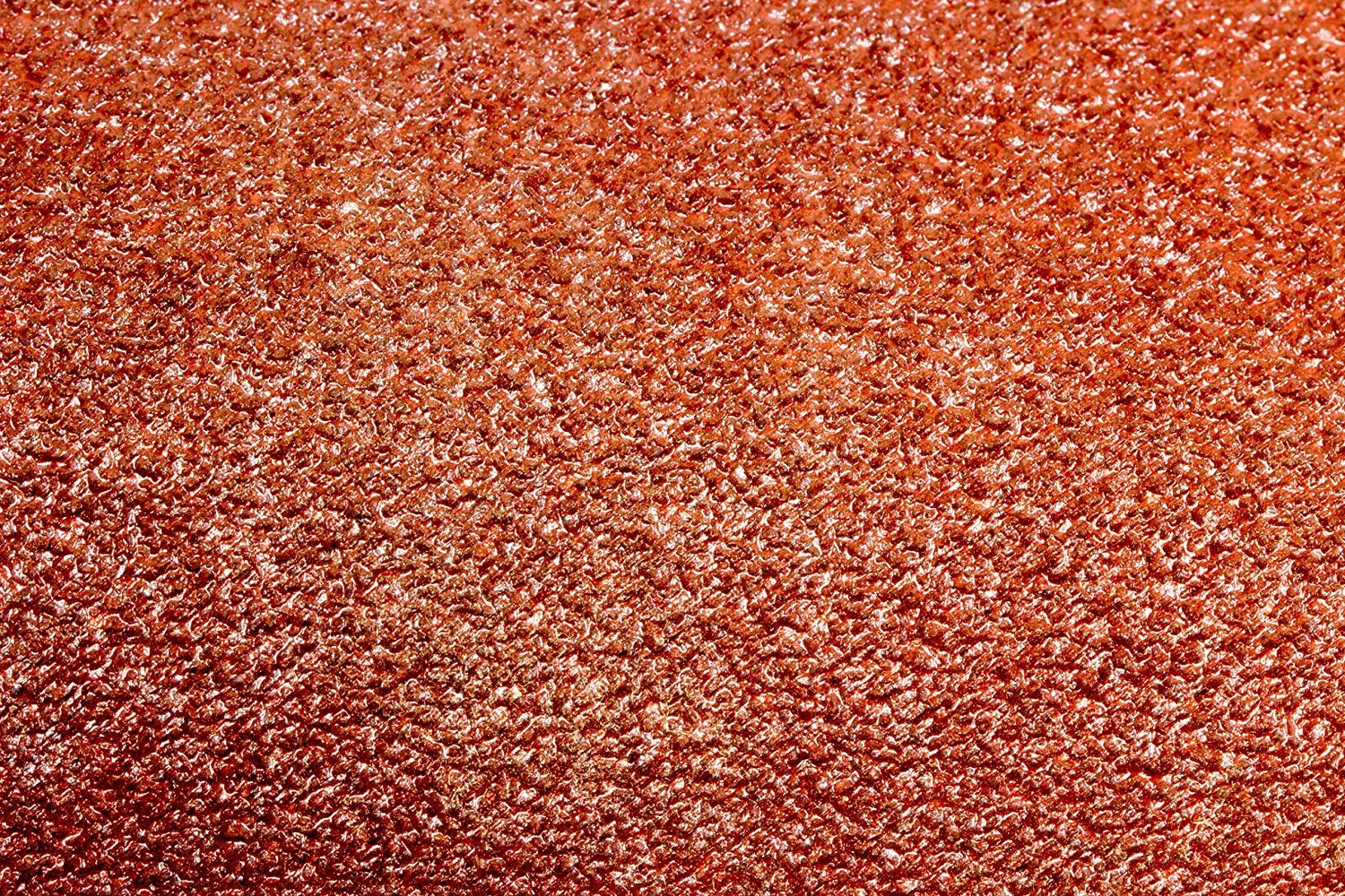 WEN 6SD120 120-Grit Adhesive-Backed 6-Inch Disc Sandpaper, 10 Pack
