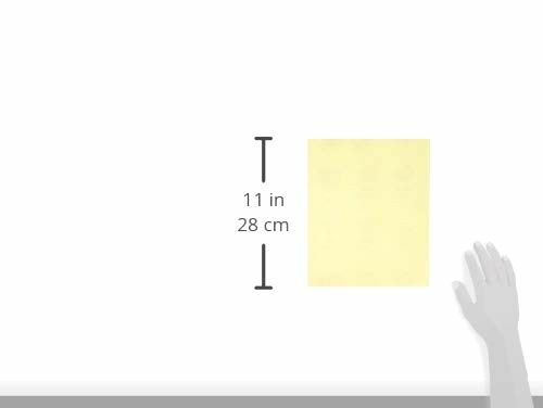 ALI INDUSTRIES 220G 4417 25PK9x11 220 Grit Fine Bulk Premium Ceramic Sandpaper