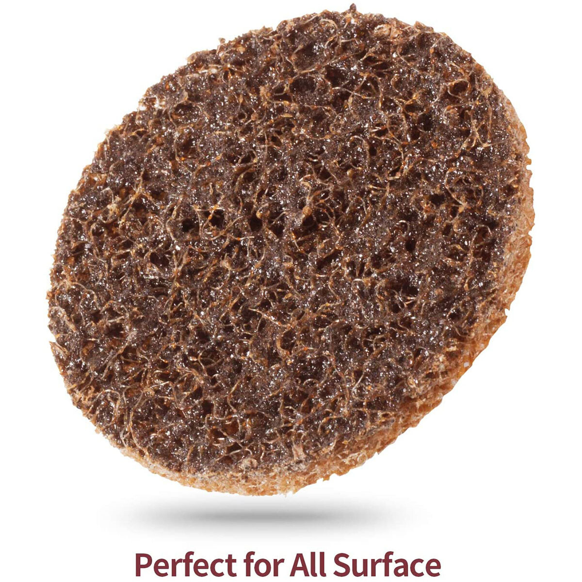 50x 2 inch Coarse Quick Change Surface Conditioning Discs Die R-Type Grinder Pad