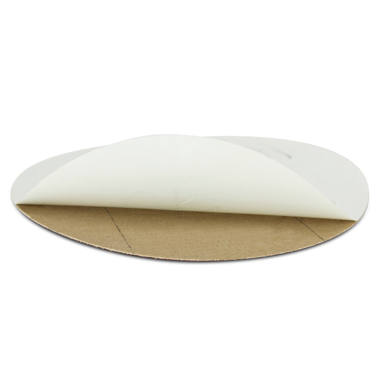 8 Inch PSA Ceramic Sanding Disc, Self Adhesive Peel and Stick – 10 Pack